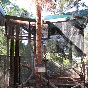 Arizona Trail - Great Horned Owl Exhibit
