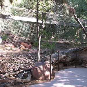 Arizona Trail - Mexican Wolf Exhibit