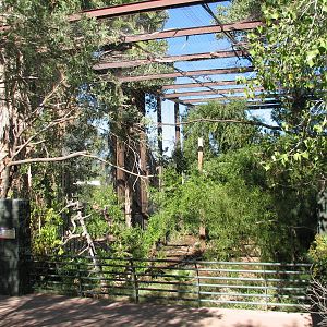 Arizona Trail - Andean Condor Exhibit
