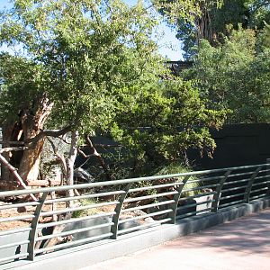 Arizona Trail - White-nosed Coati Exhibit