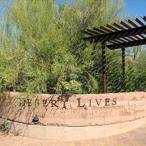 Desert Lives - Sonoran Entrance