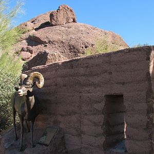 Desert Lives - Desert Bighorn Sheep Statue