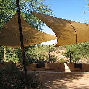 Desert Lives - Amphitheater