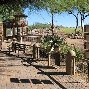 Africa Trail - Savanna