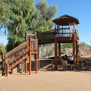 Africa Trail - Savanna Exhibit Viewing Area