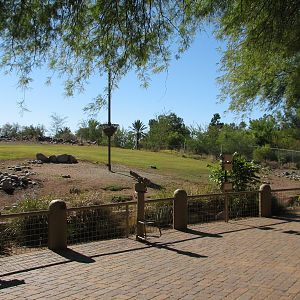 Africa Trail - Savanna Exhibit