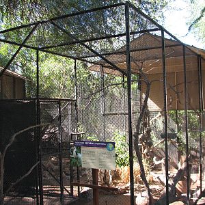 Africa Trail - Von der Deckens Hornbill Exhibit