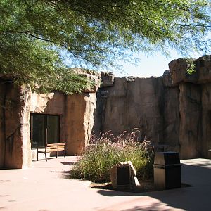 Africa Trail - Mandrill and Baboon Viewing Windows