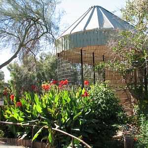 Tropics Trail - Scarlet Macaw Exhibit