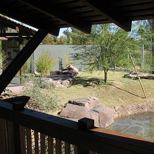 Tropics Trail - Land of the Dragons Exhibit 1