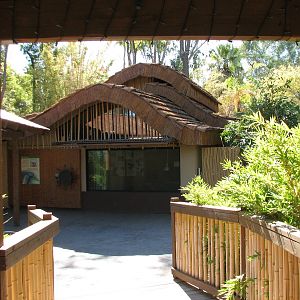 Tropics Trail - Land of the Dragons Bedroom