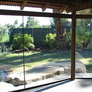 Tropics Trail - Land of the Dragons Exhibit 2