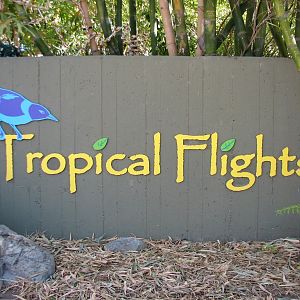 Tropics Trail - Tropical Flights - Sign
