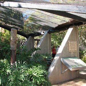 Tropics Trail - Tropical Flights - Walk-through Aviary