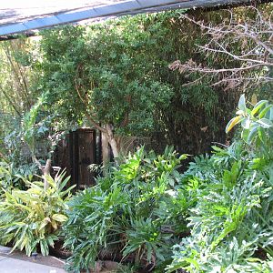 Tropics Trail - Tropical Flights - Walk-through Aviary