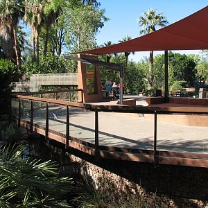 Tropics Trail - Monkey Village Viewing Area