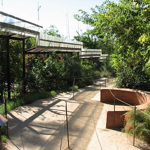 Tropics Trail - Monkey Village Walk-through Exhibit