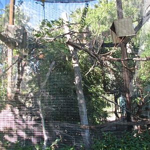 Tropics Trail - Black Howler Monkey Exhibit