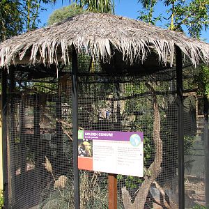 Tropics Trail - Golden Conure Exhibit