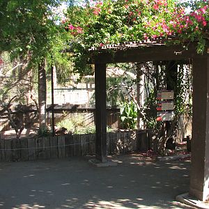 Tropics Trail - Roseate Spoonbill, Scarlet Ibis, and Black-necked Stilt Exh