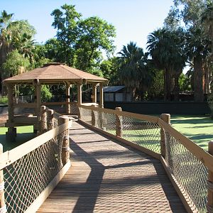 Tropics Trail - Wetlands Exhibit