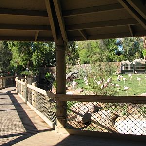 Tropics Trail - Wetlands Exhibit
