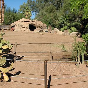 Tropics Trail - Aldabra Tortoise Exhibit 1