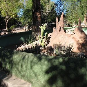 Tropics Trail - Rhinoceros Iguana Exhibit