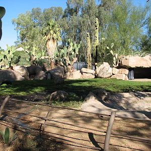 Tropics Trail - Galapagos Tortoise Exhibit