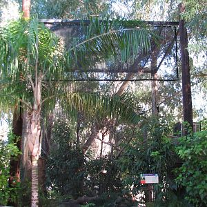 Tropics Trail - Keel-billed Toucan Exhibit