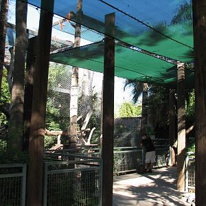 Tropics Trail - Jaguar Exhibit