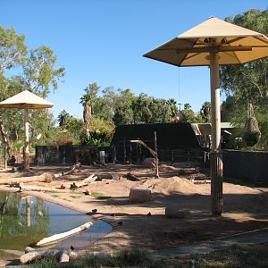 Tropics Trail - Asian Elephant Exhibit