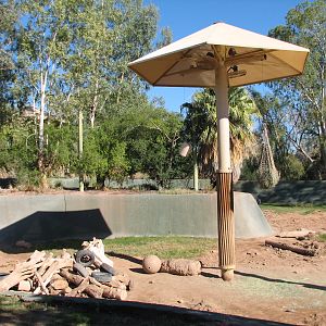 Tropics Trail - Asian Elephant Exhibit