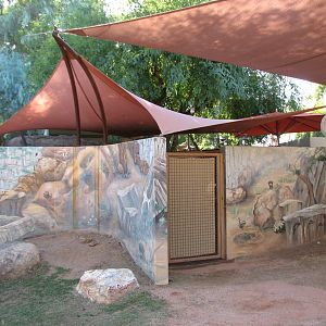 Childrens Trail - Wallaby Walkabout