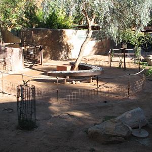 Childrens Trail - Wallaby Walkabout