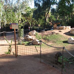 Childrens Trail - Wallaby Walkabout