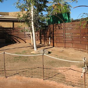 Childrens Trail - Wallaby Walkabout