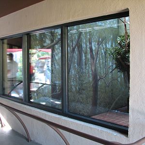 Childrens Trail - Temporary Koala Exhibit