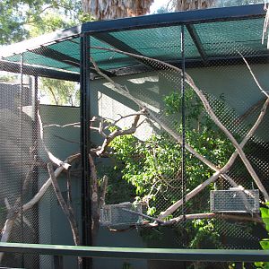Childrens Trail - White-fronted Marmoset Exhibit