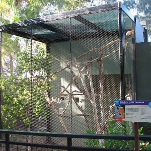 Childrens Trail - Golden Lion Tamarin Exhibit