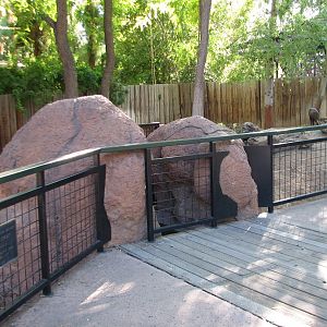 Childrens Trail - Calamian Deer Exhibit