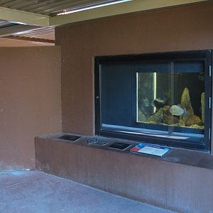 Childrens Trail - Small Wonders Exhibits