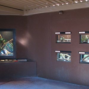 Childrens Trail - Small Wonders Exhibits