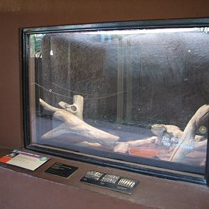 Childrens Trail - Small Wonders Exhibits