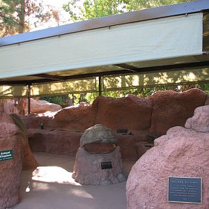 Childrens Trail - Animal Kingdom Shelter