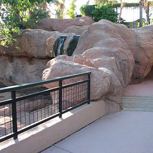 Childrens Trail - Visayan Warty Pig Exhibit Viewing Area