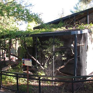 Childrens Trail - Spectacled Owl Exhibit