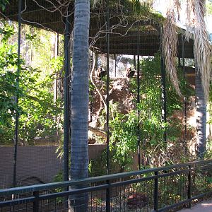 Childrens Trail - Bald Eagle Exhibit
