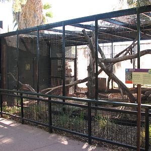 Childrens Trail - Caracal Exhibit