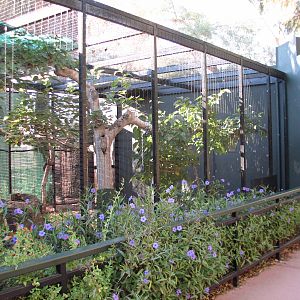 Childrens Trail - Ocelot Exhibit